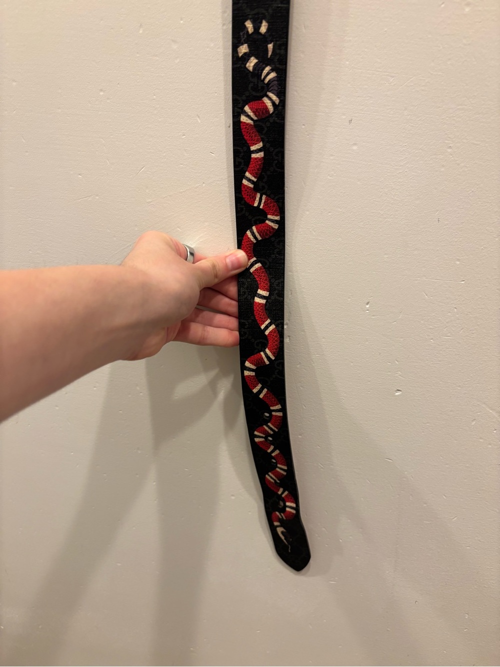 Gucci Black Monogram Belt with Red & White Snake Accent - Picture 4 of 4